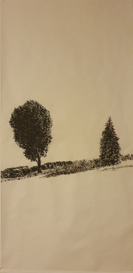 The dogs' path
